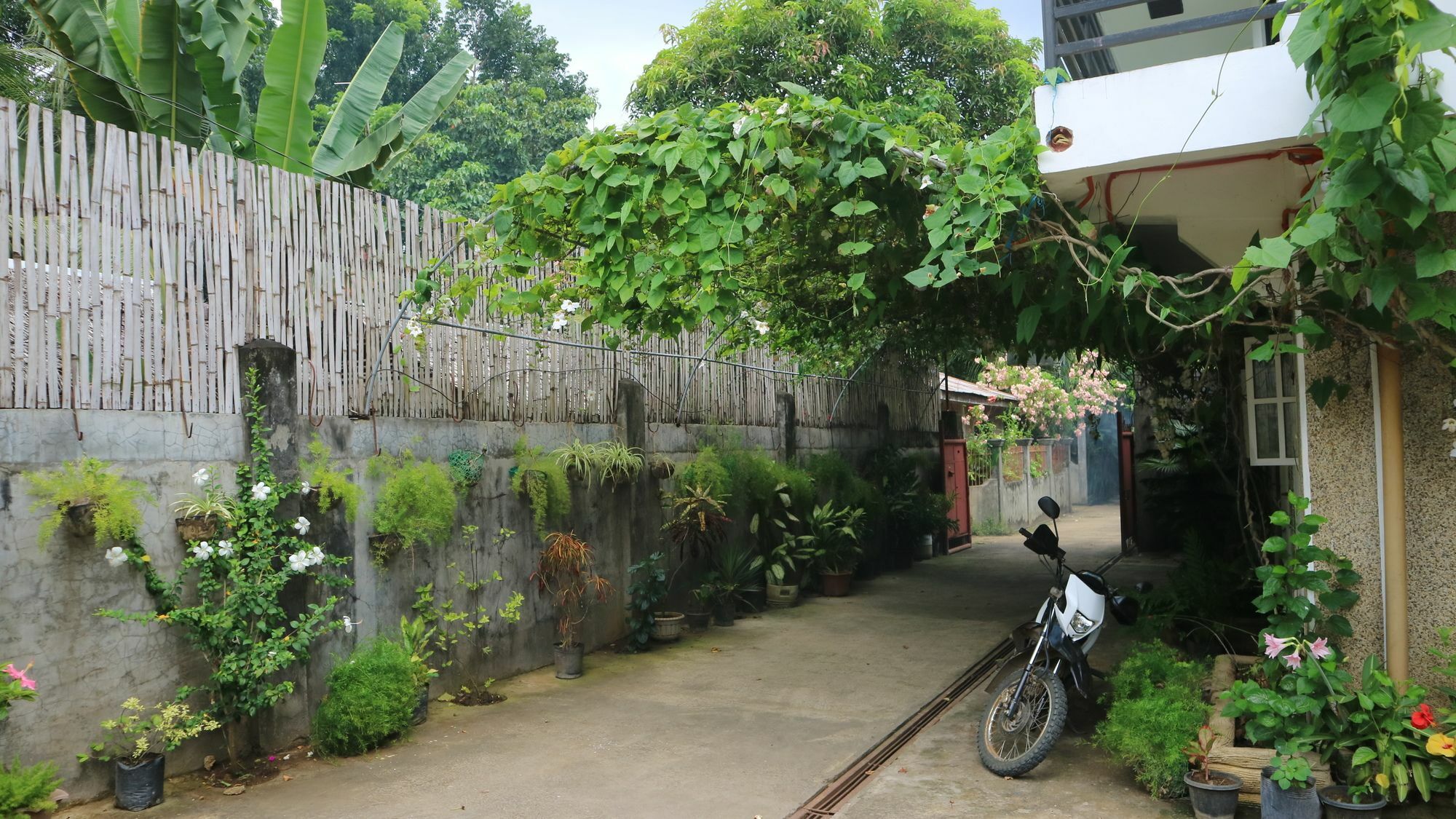 Charm Guest House Puerto Princesa Kültér fotó